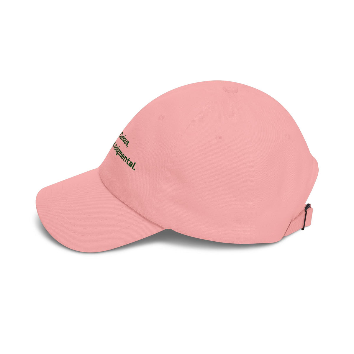 Be Curious Dad Cap
