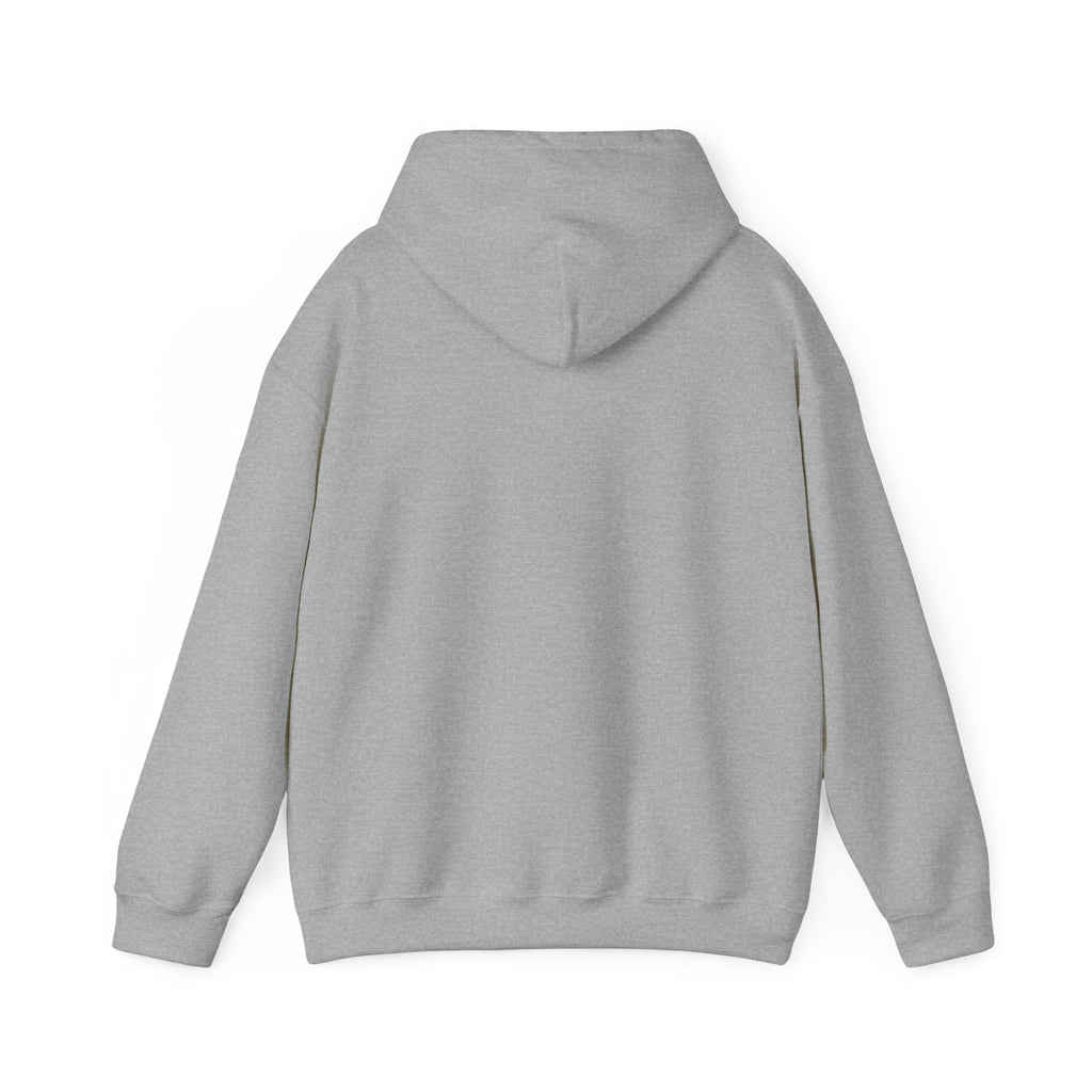 Check Your Mental Altitude Pilot Mental Health - Hoodie