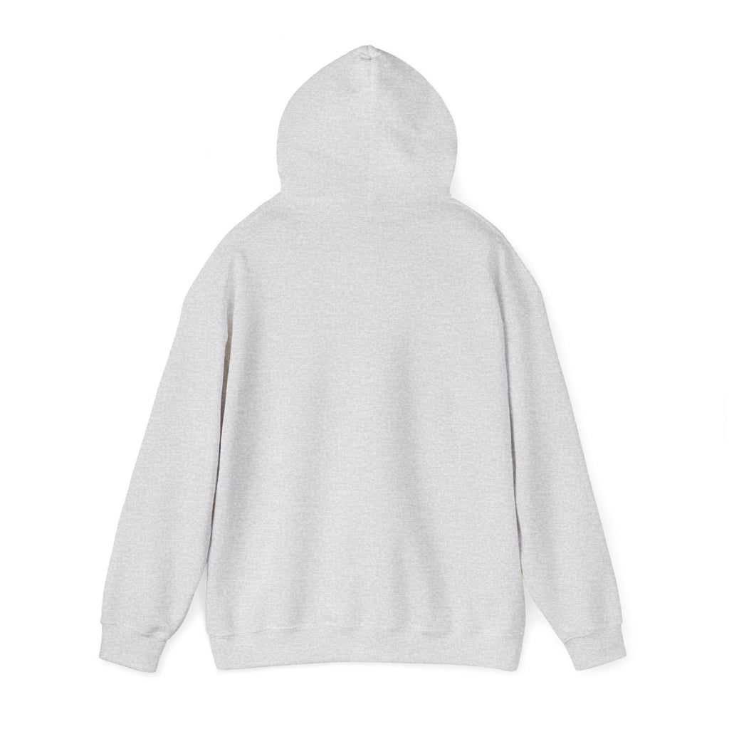 Check Your Mental Altitude Pilot Mental Health - Hoodie