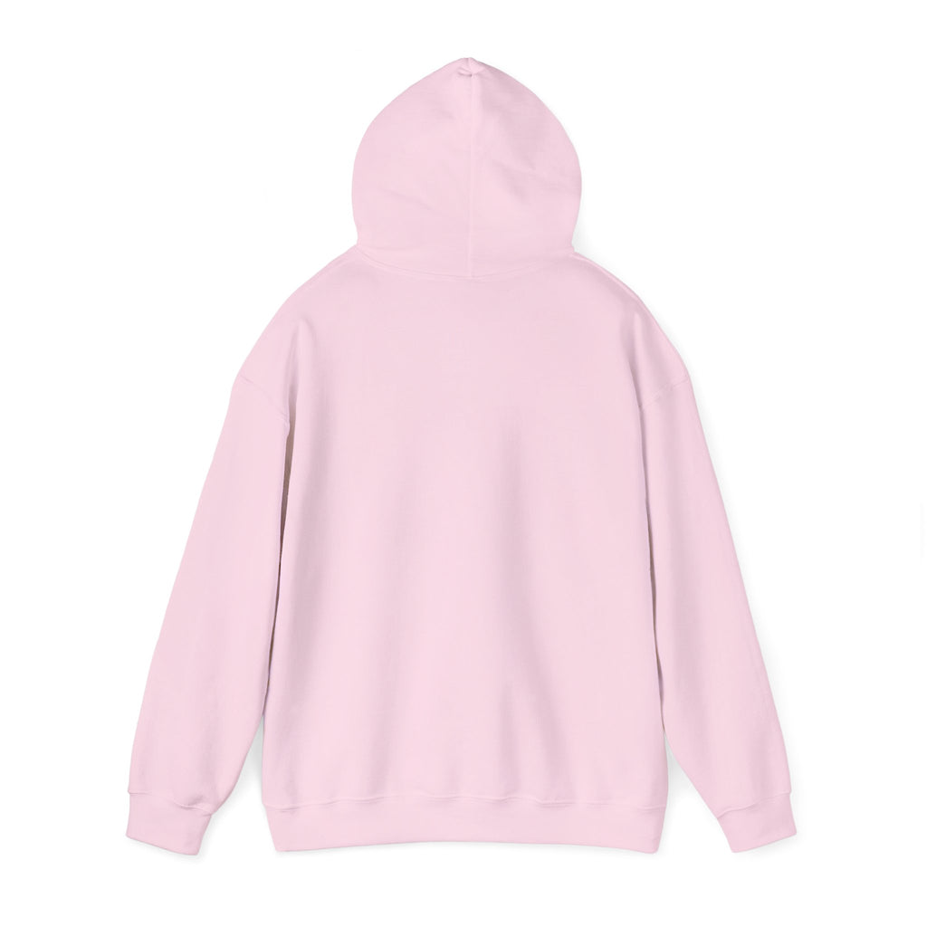 Check Your Mental Altitude Pilot Mental Health - Hoodie