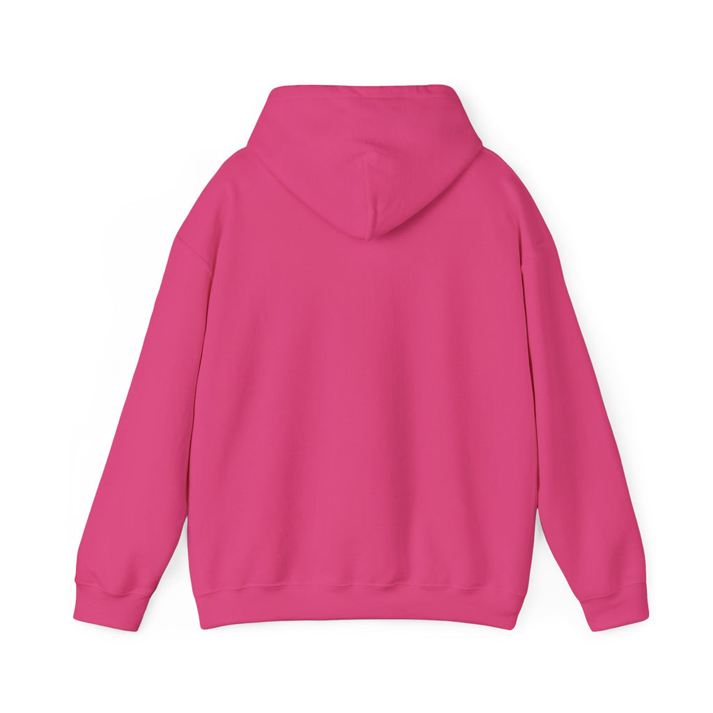 Check Your Mental Altitude Pilot Mental Health - Hoodie