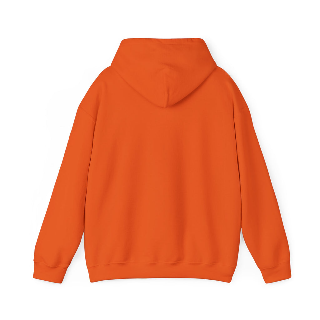 Check Your Mental Altitude Pilot Mental Health - Hoodie