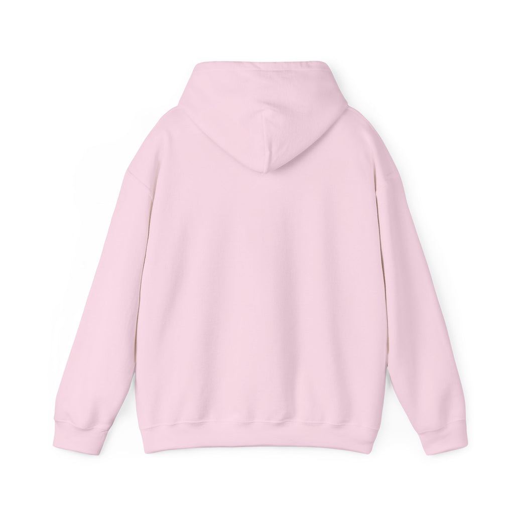 Check Your Mental Altitude Pilot Mental Health - Hoodie