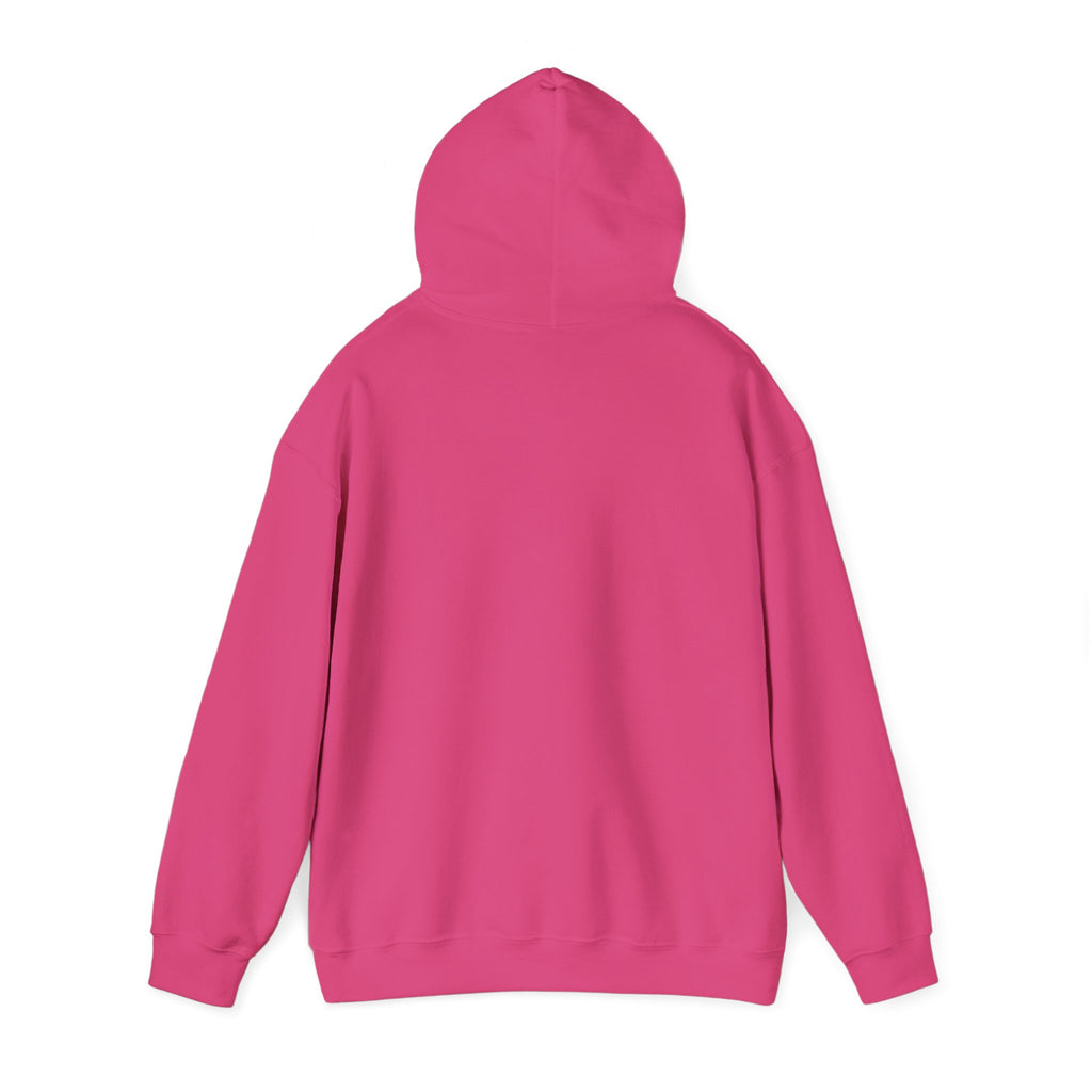 Check Your Mental Altitude Pilot Mental Health - Hoodie